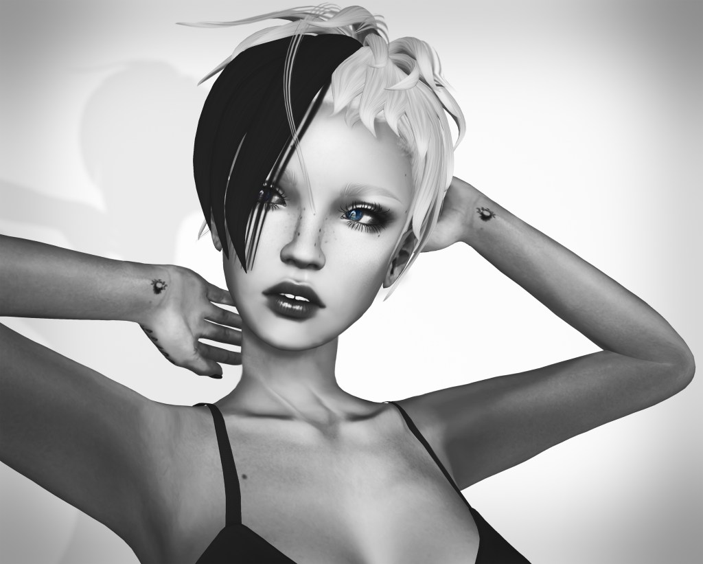 Berry’s Have you ever SecondLifed&nbsp;Meme